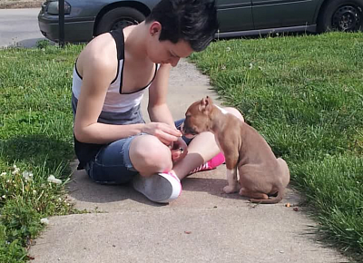 Puppy training, puppy socialization
