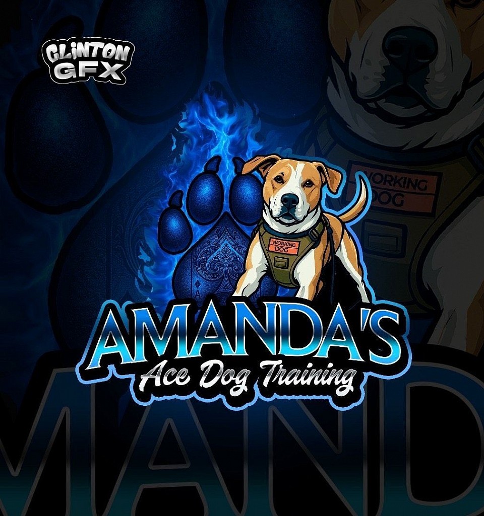 Amanda's Ace Dog Training